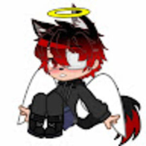 Meet your Posher, Lupe